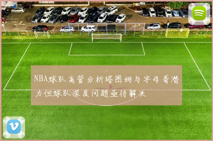 NBA球队高管分析塔图姆与字母哥潜力但球队深度问题亟待解决